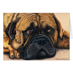 Bullmastiff wartete - Hundezucht-Kunst