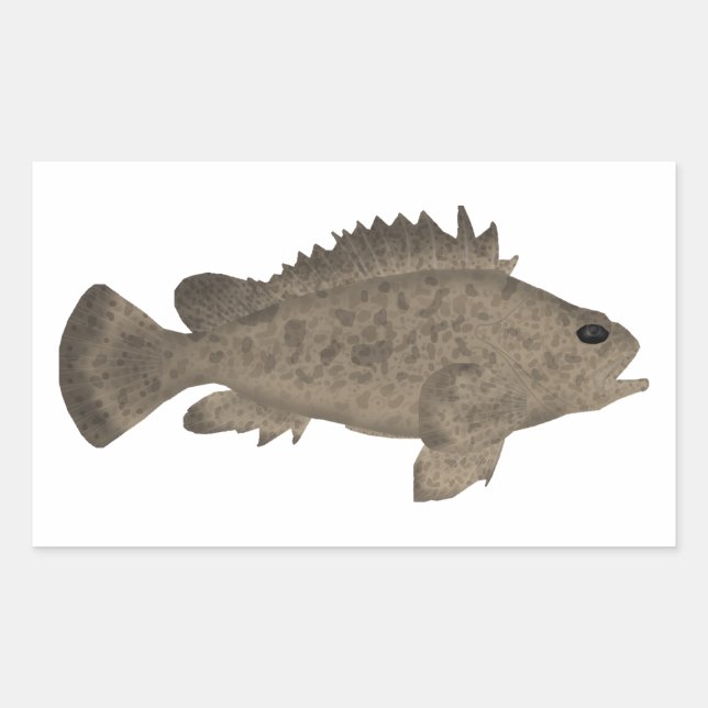 Bullrout Rechteckiger Aufkleber (Vorderseite)