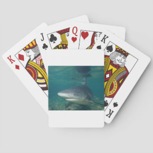 Bullshark Spielkarten