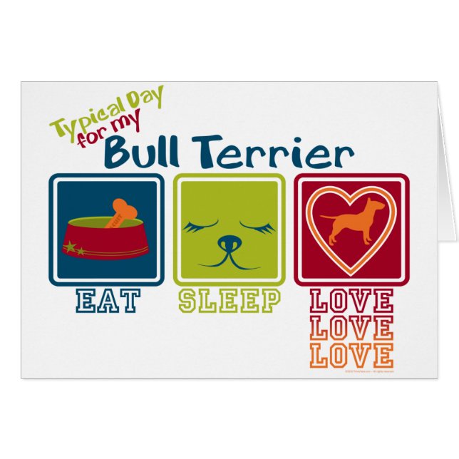 Bullterrier (Vorderseite (Horizontal))