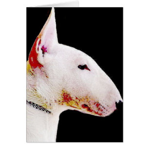 Bullterrier