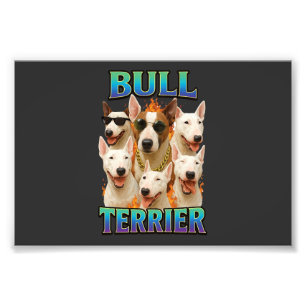Bullterrier fotodruck