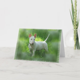 Bullterrier-Gruß-Karte Karte