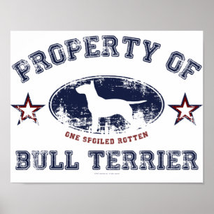 Bullterrier Poster