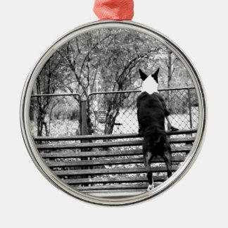Bullterrier Silbernes Ornament