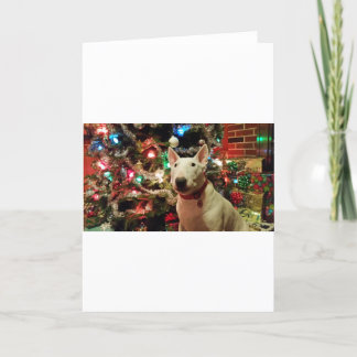Bullterrier Weihnachtsgeschenkbaum Feiertagskarte
