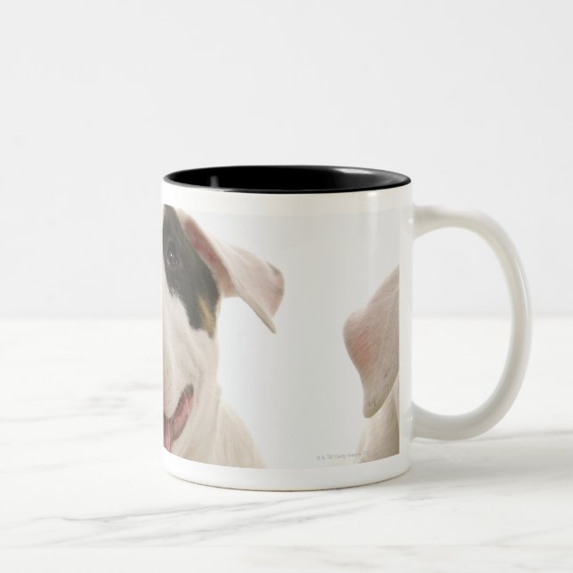 Bullterrier Zweifarbige Tasse (Rechts)