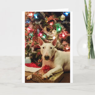 BullterrierWeihnachtsgeschenkbaum Feiertagskarte