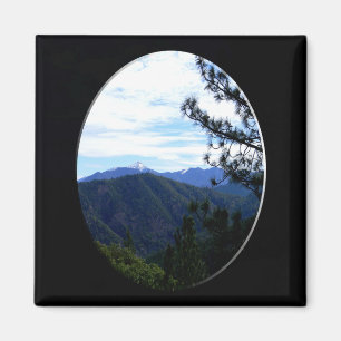 Bully Schup View...... Magnet