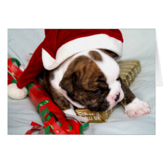 BullyBreeze - Dot - Geschenkzeit - Karte