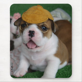 BullyBreeze - Schauer - Chillin heraus - Mousepad