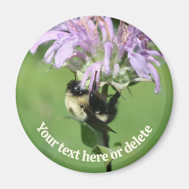 Bumble Bee On Bee Balm Flower Personalized Magnet (Vorne)
