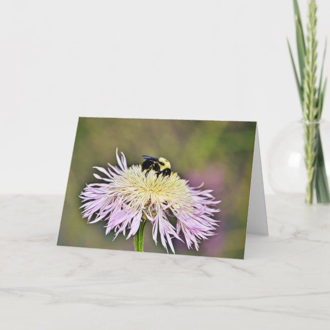 Bumble Bee Wildblume Scripture Card John 1:16 Karte (Vorderseite)