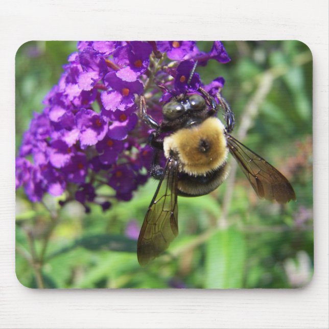 BumbleBee01 Mousepad (Vorne)