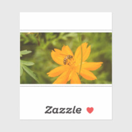 Bumblebee on a Sulfur Cosmos Aufkleber