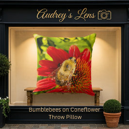 Bumblebee on Red Coneflower Kissen