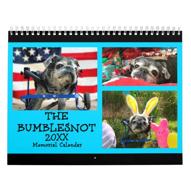 Bumblesnot 2018 Denkmal-Kalender Kalender (Titelbild)