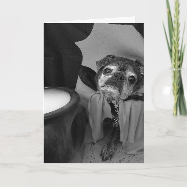 Bumblesnot Halloween Karte: Zählung Pugula Karte (Vorderseite)