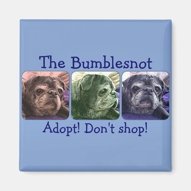 Bumblesnot-Magnet: Color Me-Hummel Magnet (Vorne)