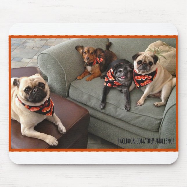 Bumblesnot Mousepad: Der Bacon Bunch Mousepad (Vorne)