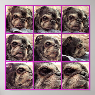 Bumblesnot Poster: Schattierungen der Hummel Poster