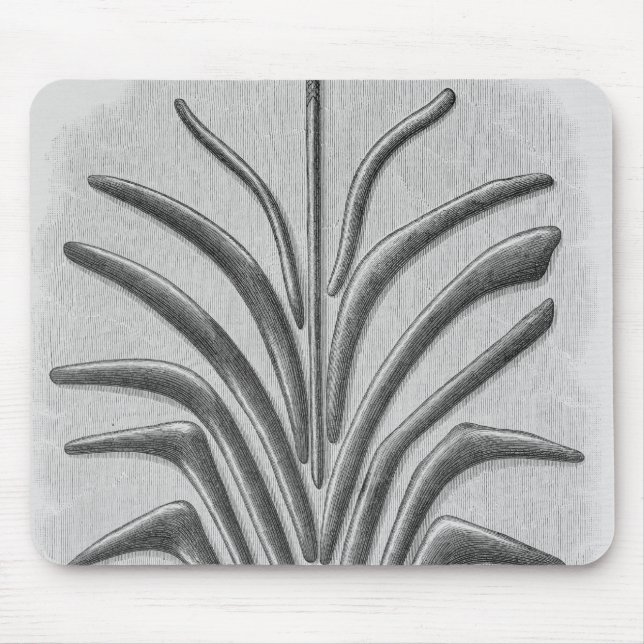 Bumerang und geformte Vereine des Bumerangs Mousepad (Vorne)