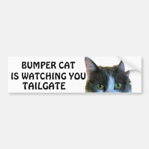 Bumper Cat beobachtet Meme TAILGATE 28 Autoaufkleber