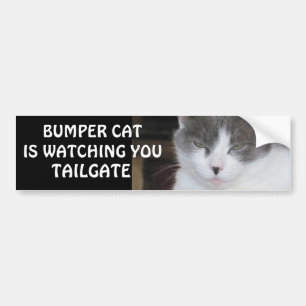 Bumper Cat beobachtet TAILGATE 18 Autoaufkleber