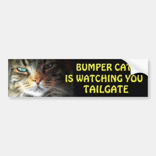 Bumper Cat beobachtet TAILGATE 2,5 Autoaufkleber