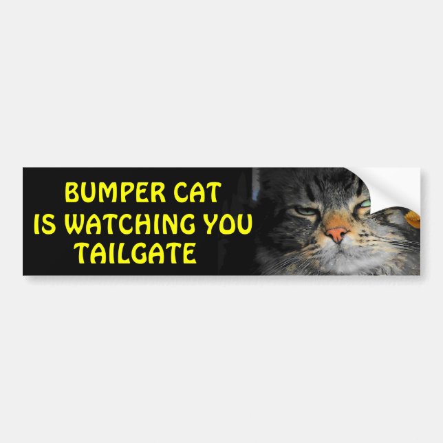 Bumper Cat beobachtet TAILGATE 34 Autoaufkleber (Vorne)