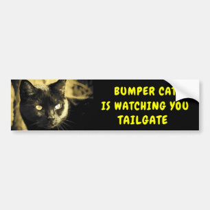 Bumper Cat beobachtet TAILGATE 44 Autoaufkleber