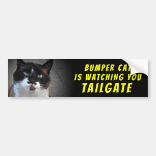 Bumper Cat beobachtet TAILGATE 46 Autoaufkleber