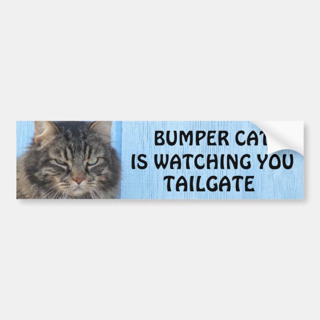 Bumper Cat beobachtet TAILGATE 6 meme Autoaufkleber (Vorne)