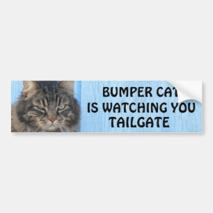 Bumper Cat schaut TAILGATE 6 Meme Autoaufkleber