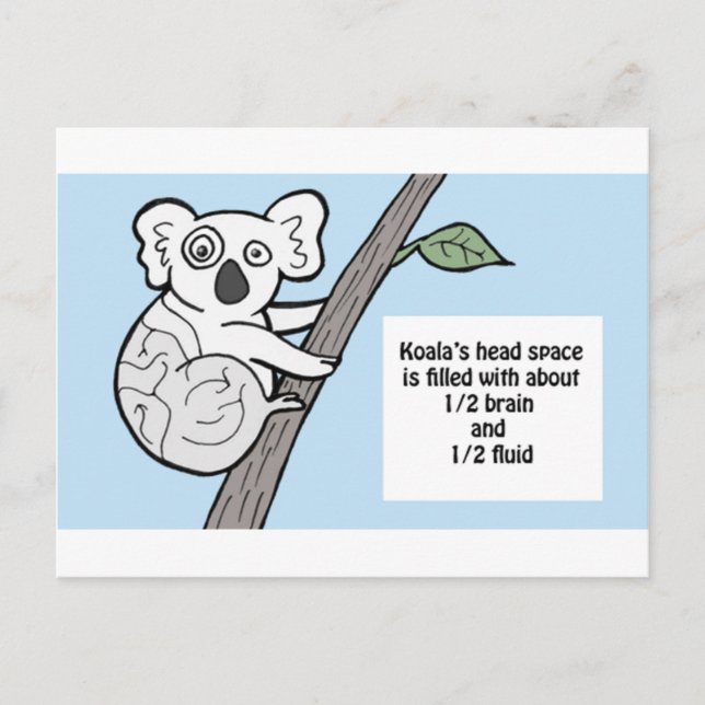Bumpy Brains Koala Postkarte (Vorderseite)