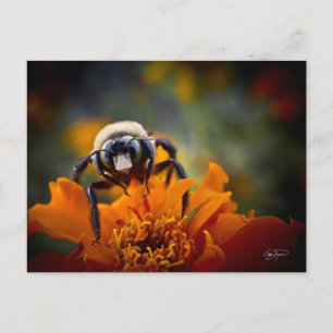 Bunble Bee Postkarte