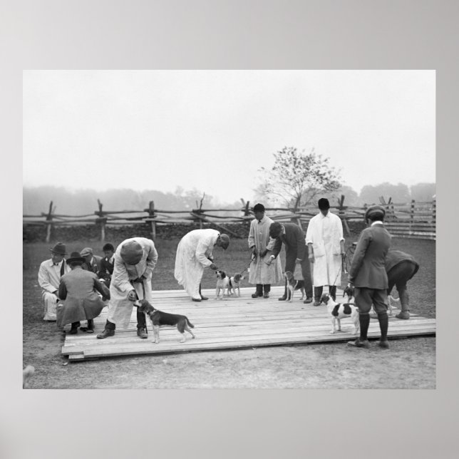 Bunch of Beagles, 1914 Poster (Vorne)