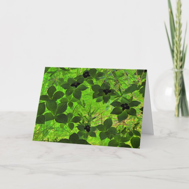 "Bunchberries" Digital bearbeitete Foto Grüne Pfla Karte (Vorderseite)
