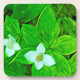 Bunchberry White Wildblume Abstrakt Untersetzer