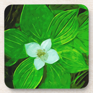 Bunchberry White Wildblume Getränkeuntersetzer