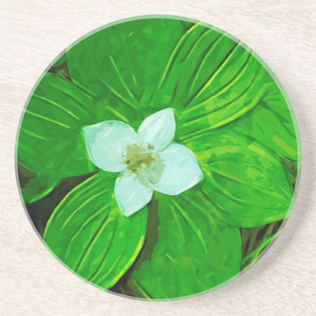 Bunchberry White Wildblume Untersetzer (Vorne)