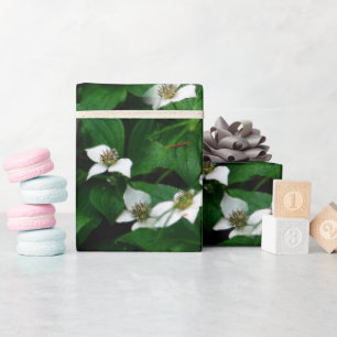 Bunchberry Wildblume Design Geschenkpapier