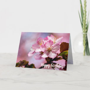 Bündel atemberaubender Sakura-Blüten in rosa Farbe Karte