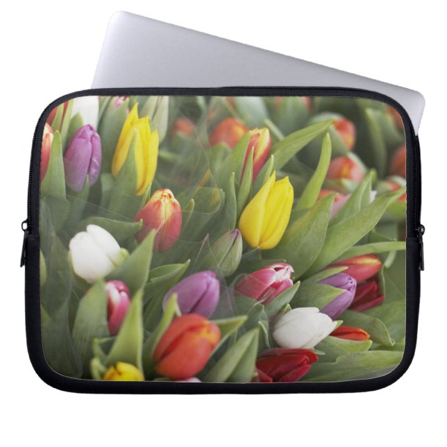 Bündel der bunten Tulpen Laptopschutzhülle (Vorderseite)
