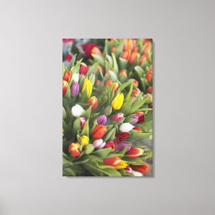 Bündel der bunten Tulpen Leinwanddruck