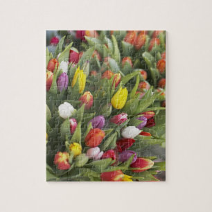 Bündel der bunten Tulpen Puzzle