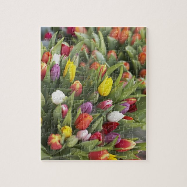 Bündel der bunten Tulpen Puzzle (Vertikal)