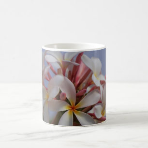 Bündel Plumeria Tasse