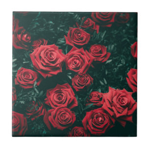 Bündel roter Rosen Fliese