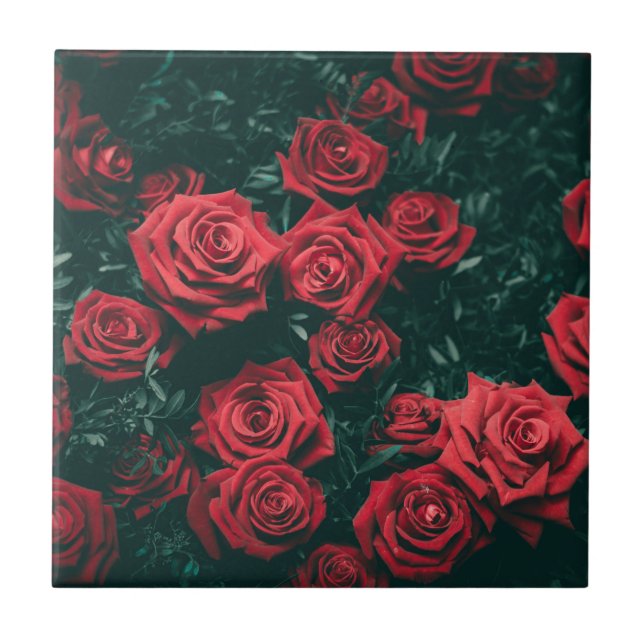 Bündel roter Rosen Fliese (Vorderseite)